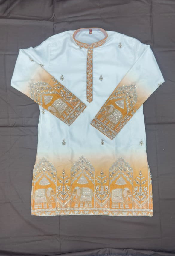 Designer Ombre Kurta with Traditional Elephant Embroidery
