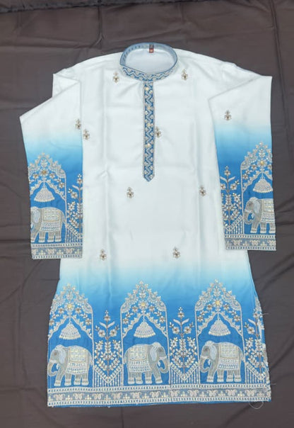 Designer Ombre Kurta with Traditional Elephant Embroidery