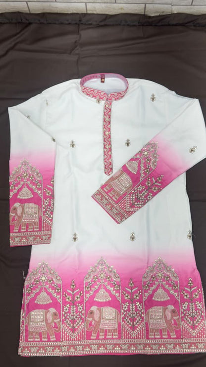 Designer Ombre Kurta with Traditional Elephant Embroidery
