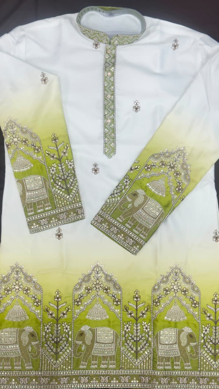 Designer Ombre Kurta with Traditional Elephant Embroidery