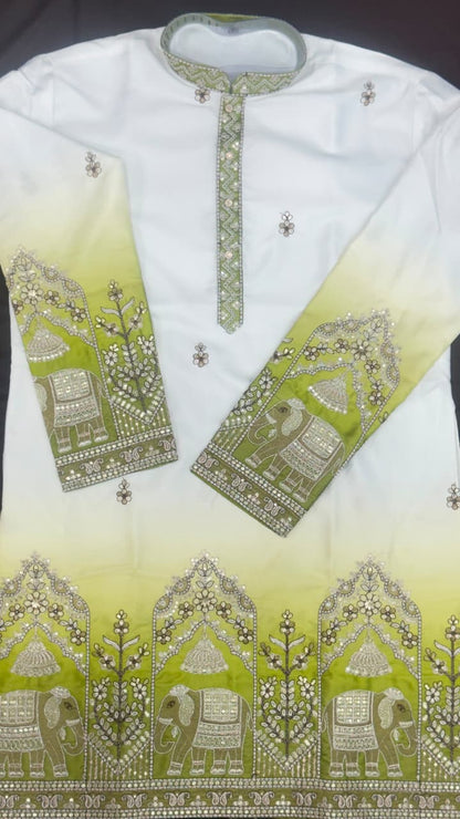 Designer Ombre Kurta with Traditional Elephant Embroidery