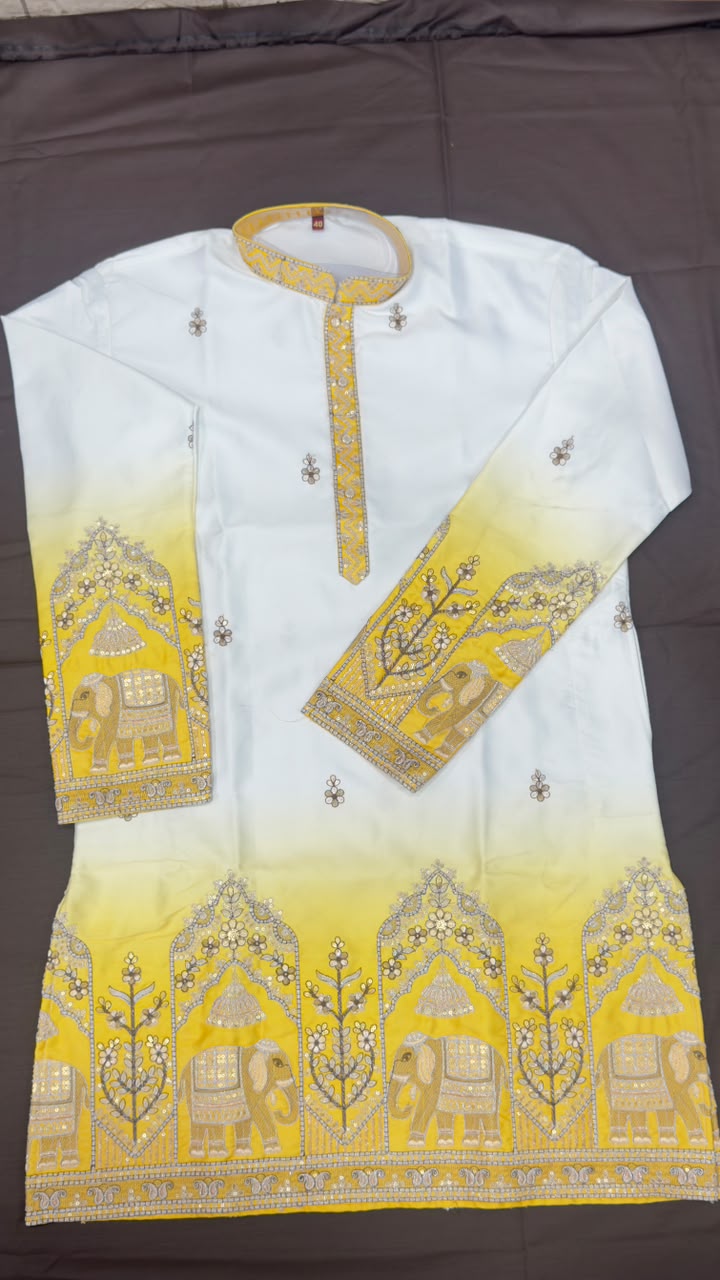 Designer Ombre Kurta with Traditional Elephant Embroidery