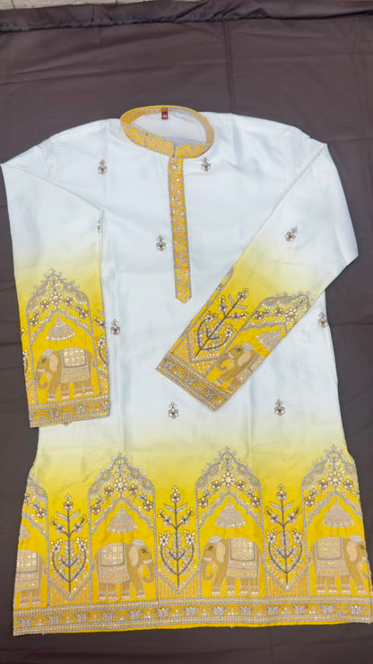 Designer Ombre Kurta with Traditional Elephant Embroidery