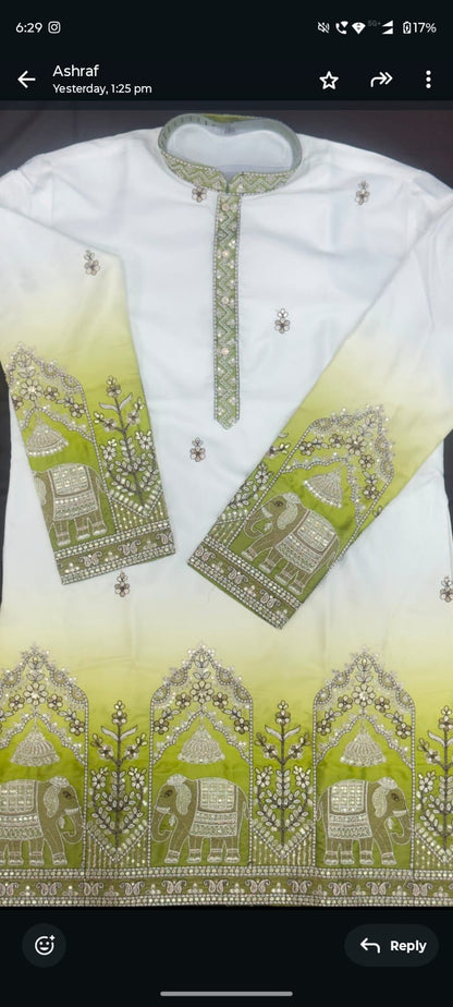 Designer Ombre Kurta with Traditional Elephant Embroidery