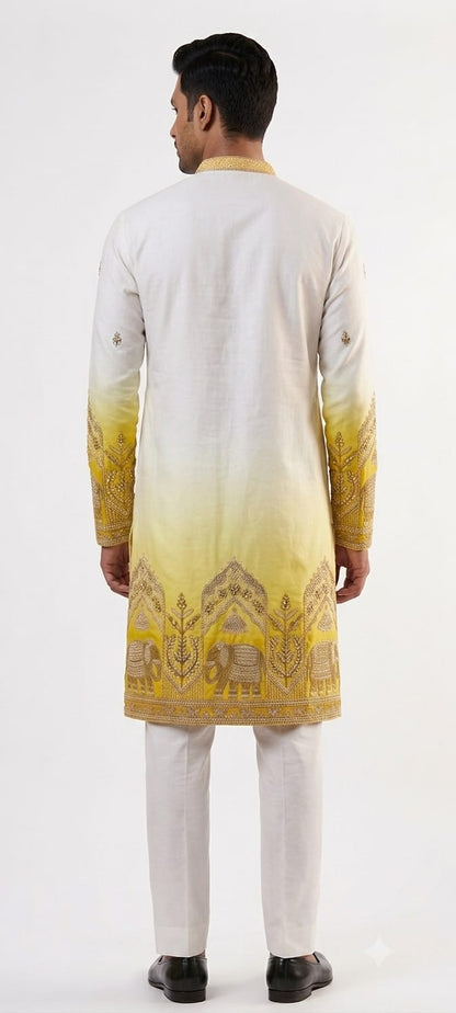 Designer Ombre Kurta with Traditional Elephant Embroidery