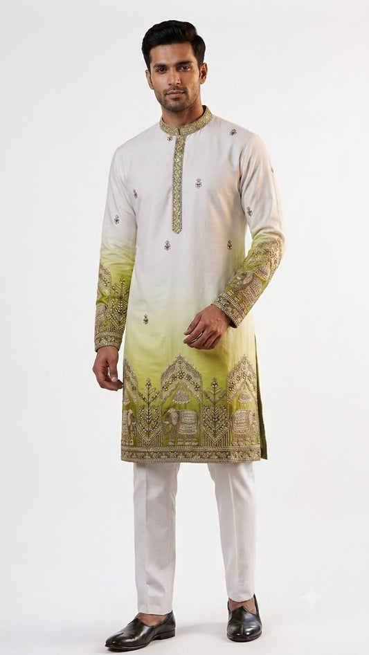 Designer Ombre Kurta with Traditional Elephant Embroidery